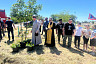 В саратовском парке высадили 100 саженцев дуба